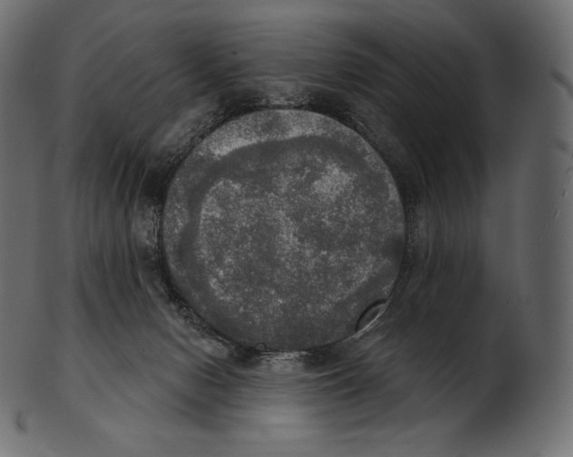 X0000100500078200807031950