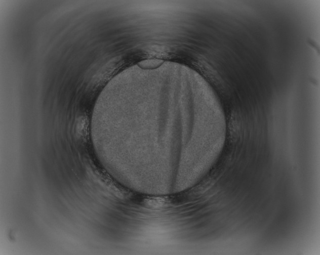 X0000100500079200807031950