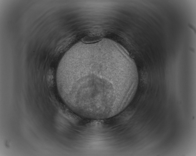 X0000100500080200807031950