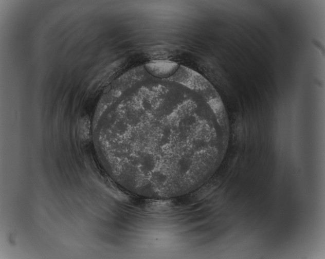 X0000100500081200807031950