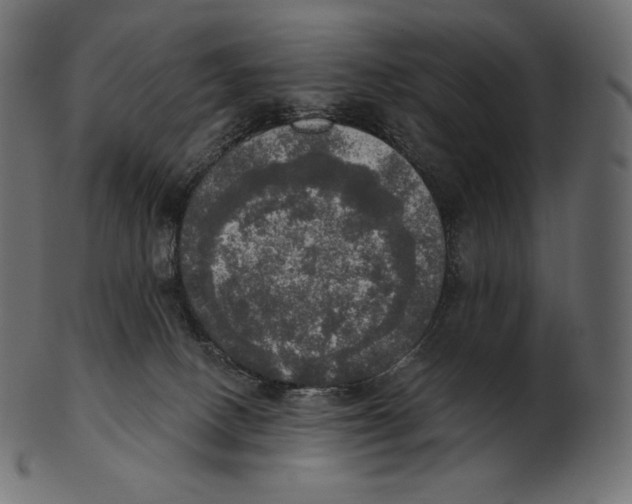 X0000100500082200807031950