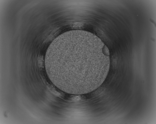 X0000100500083200807031950