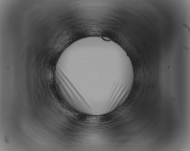 X0000100500084200807031950