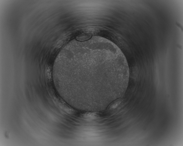 X0000100500086200807031950