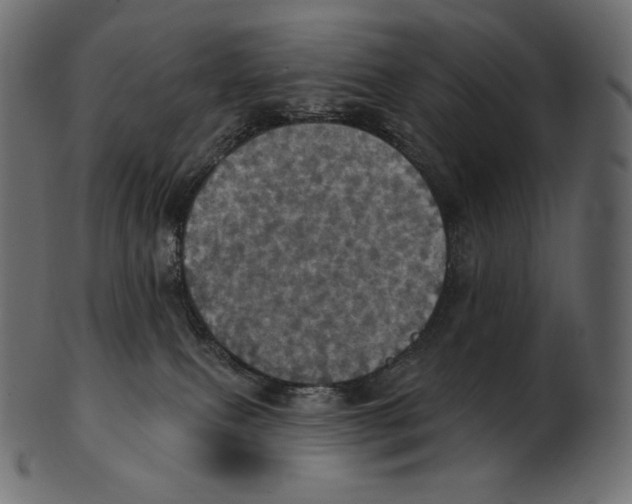 X0000100500087200807031950