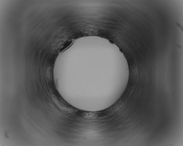 X0000100500088200807031950