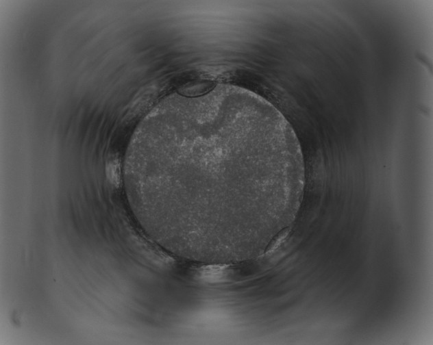 X0000100500090200807031950