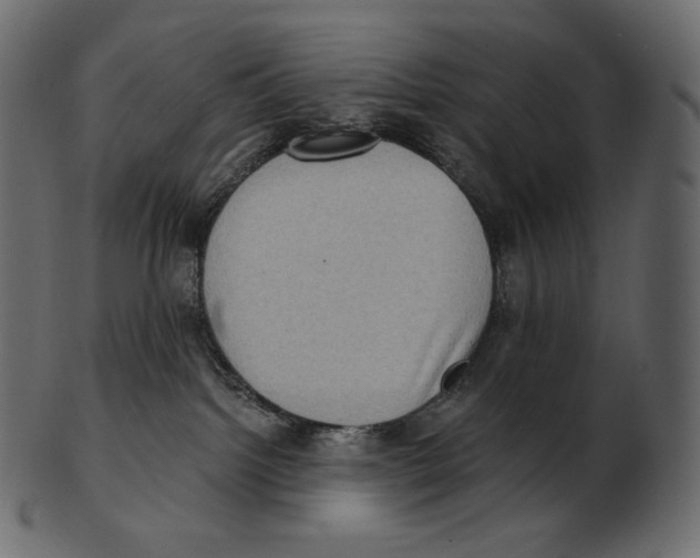 X0000100500092200807031950