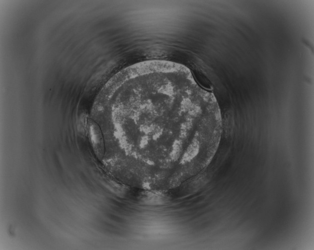 X0000100500093200807031950