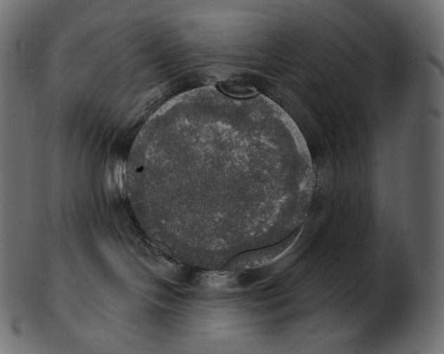 X0000100500094200807031950