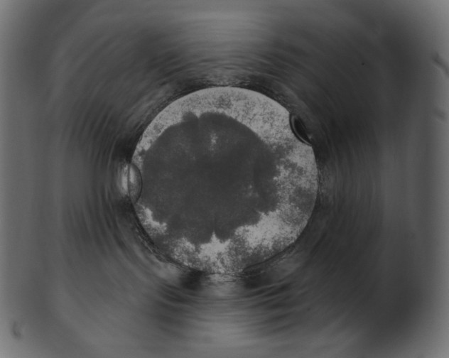 X0000100500095200807031950