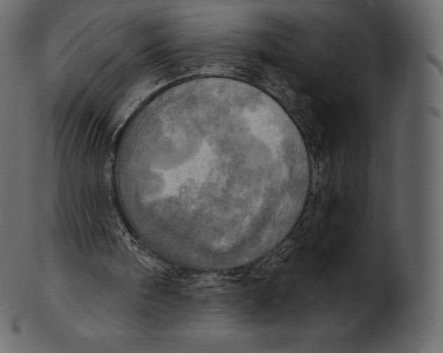 X0000100500098200807031950