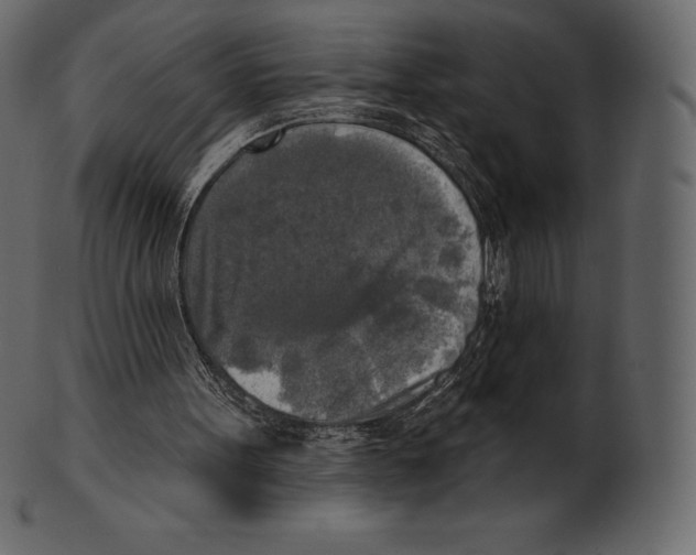 X0000100500099200807031950