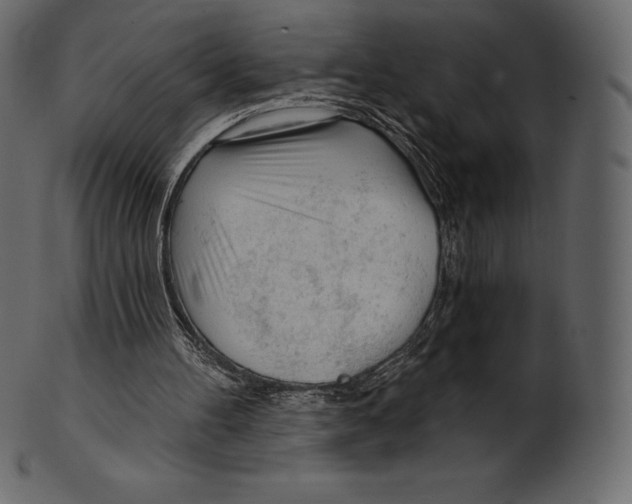 X0000100500100200807031950