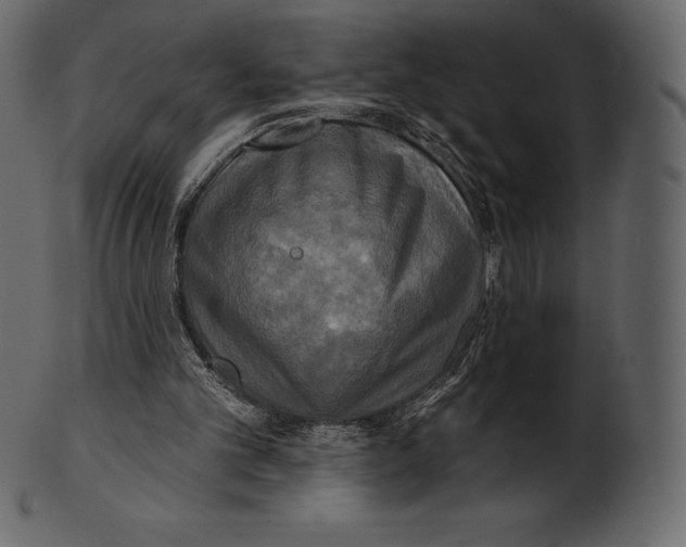 X0000100500101200807031950