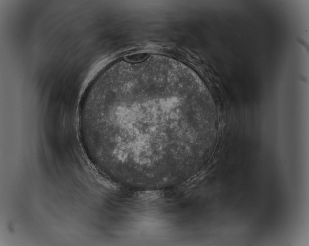 X0000100500102200807031950