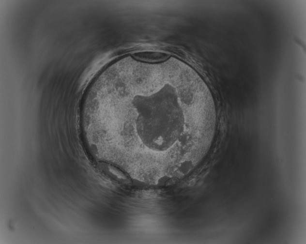 X0000100500103200807031950