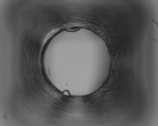 X0000100500104200807031950