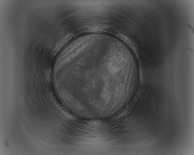 X0000100500105200807031950