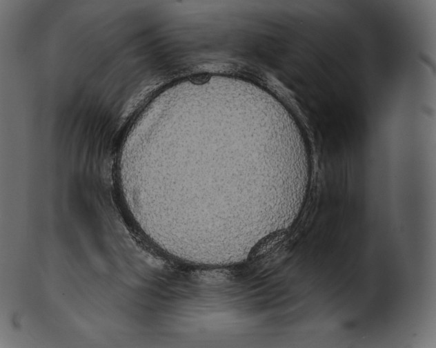 X0000100500106200807031950