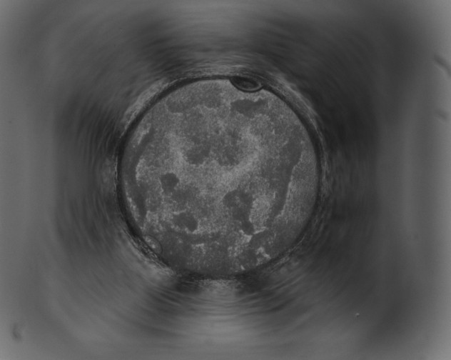 X0000100500107200807031950