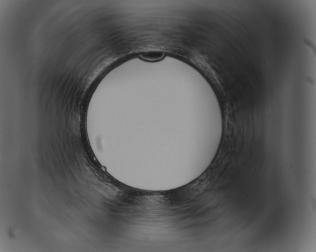 X0000100500108200807031950