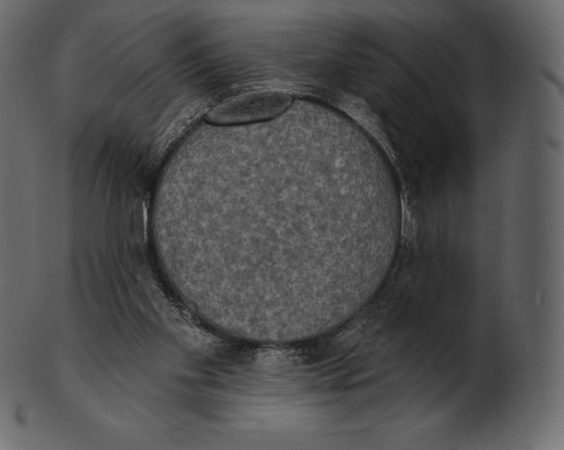 X0000100500109200807031950