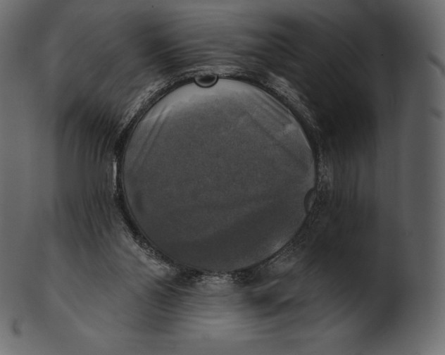 X0000100500110200807031950