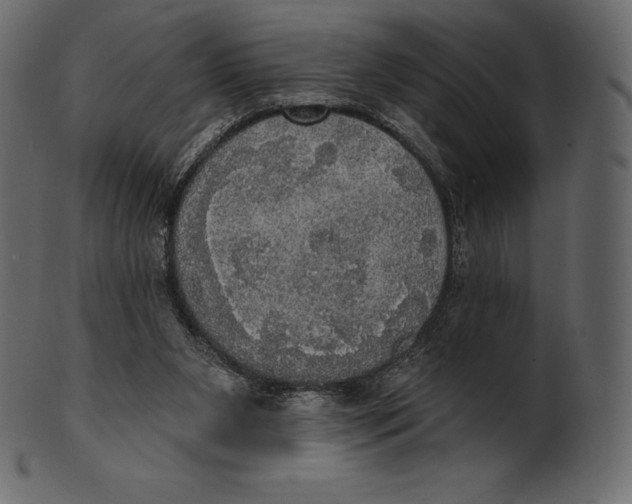 X0000100500111200807031950