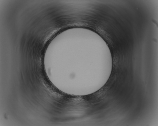 X0000100500112200807031950