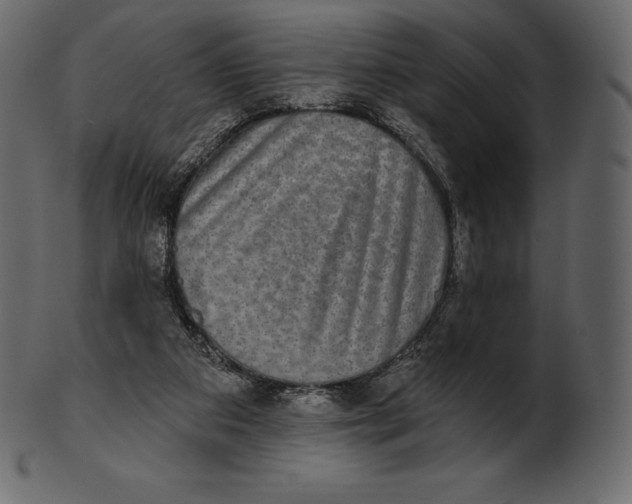 X0000100500113200807031950