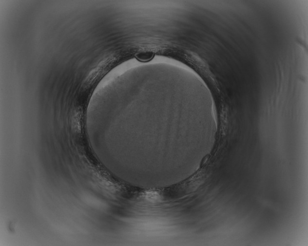 X0000100500114200807031950