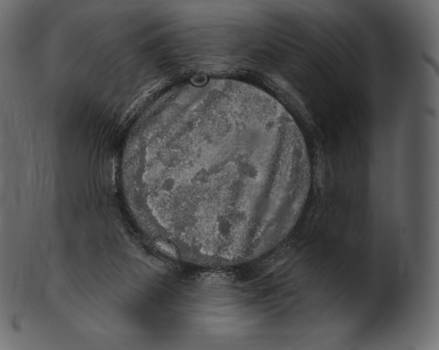 X0000100500115200807031950