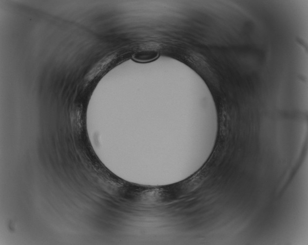 X0000100500116200807031950