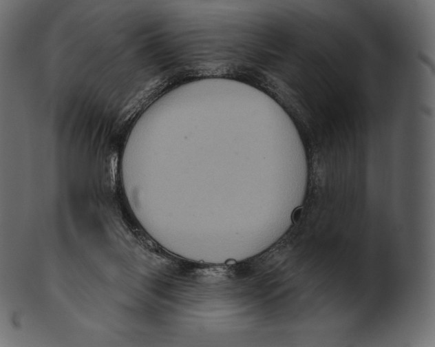 X0000100500118200807031949