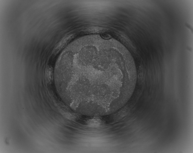 X0000100500119200807031949