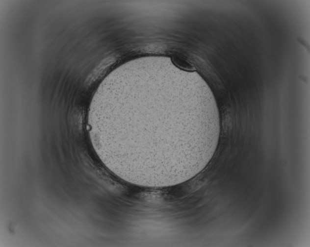 X0000100500120200807031949