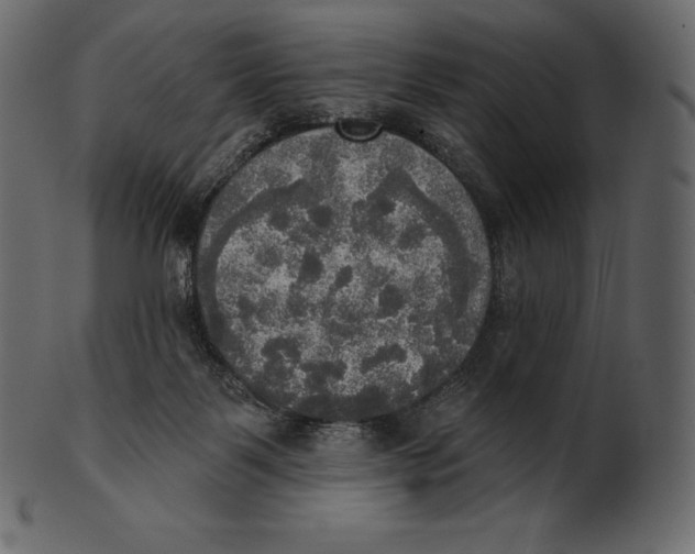 X0000100500123200807031949