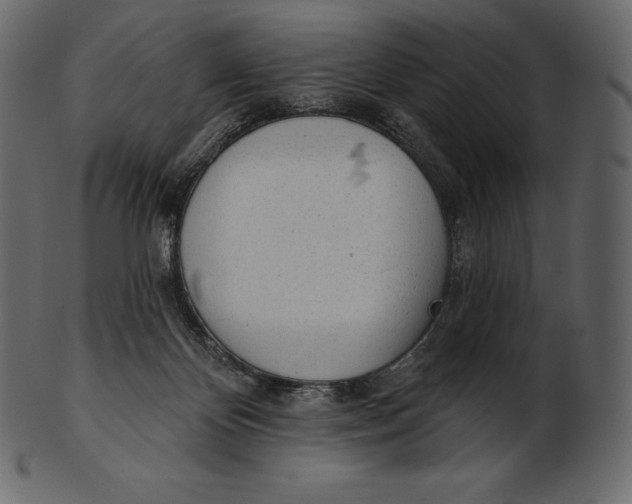 X0000100500124200807031949