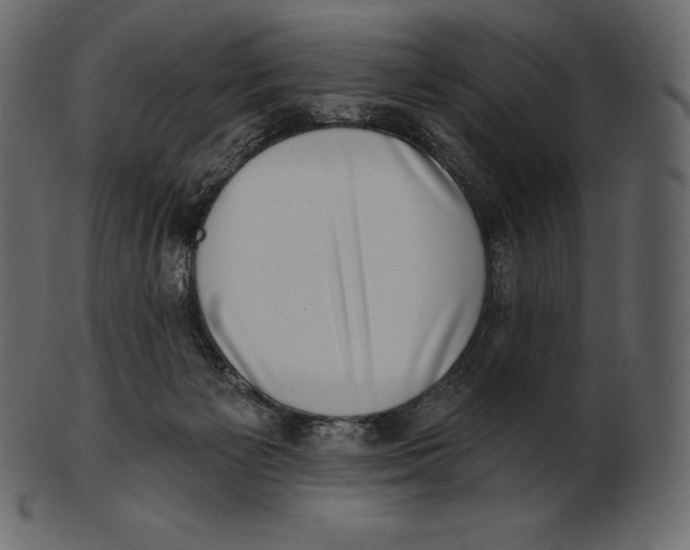 X0000100500125200807031949