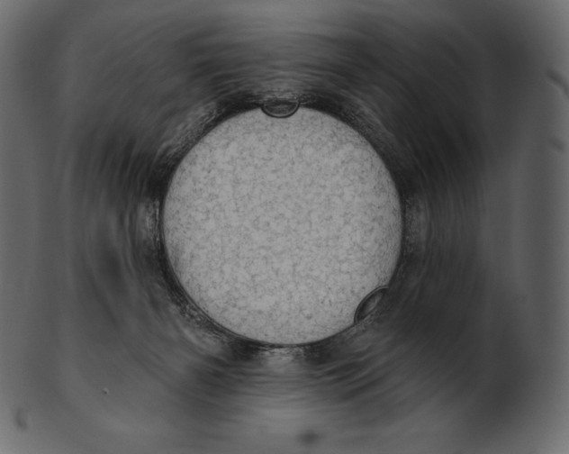 X0000100500126200807031949