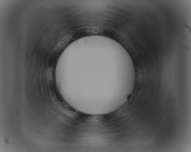 X0000100500128200807031949