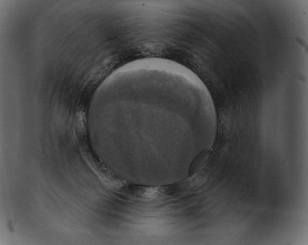 X0000100500130200807031949