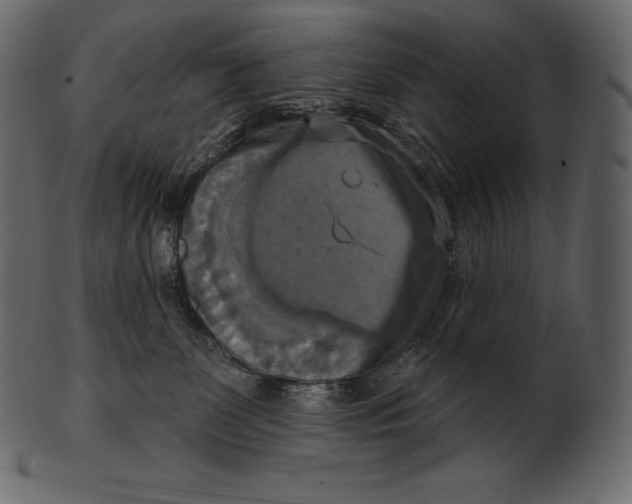 X0000100500131200807031949