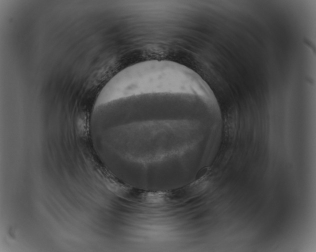 X0000100500134200807031949