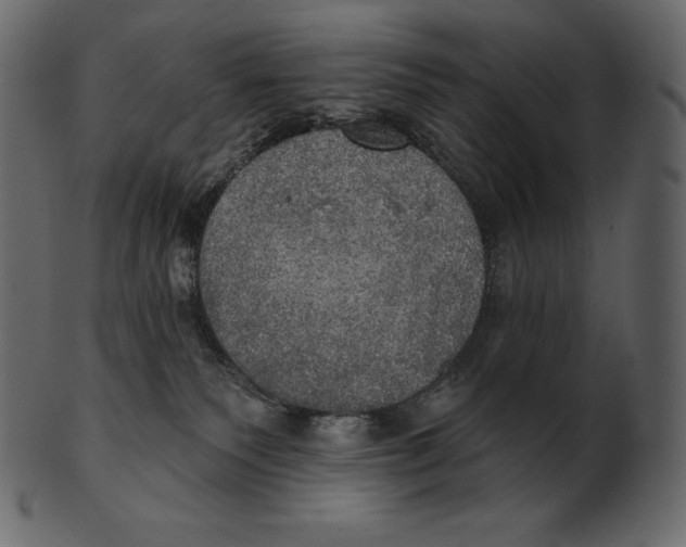 X0000100500135200807031949