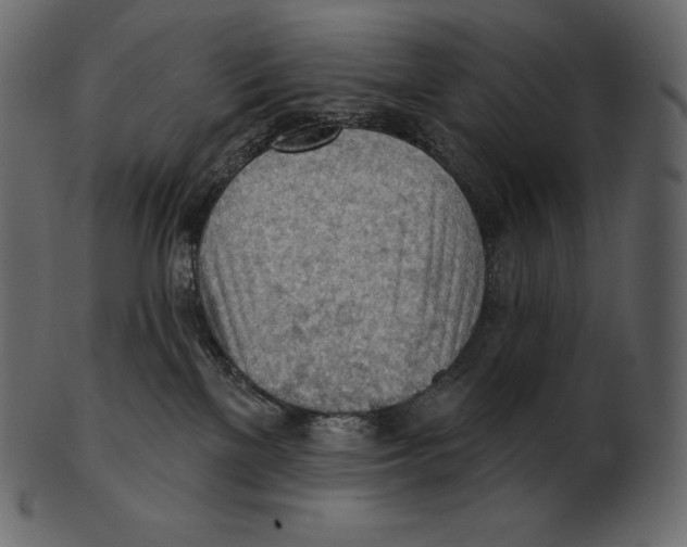 X0000100500137200807031949