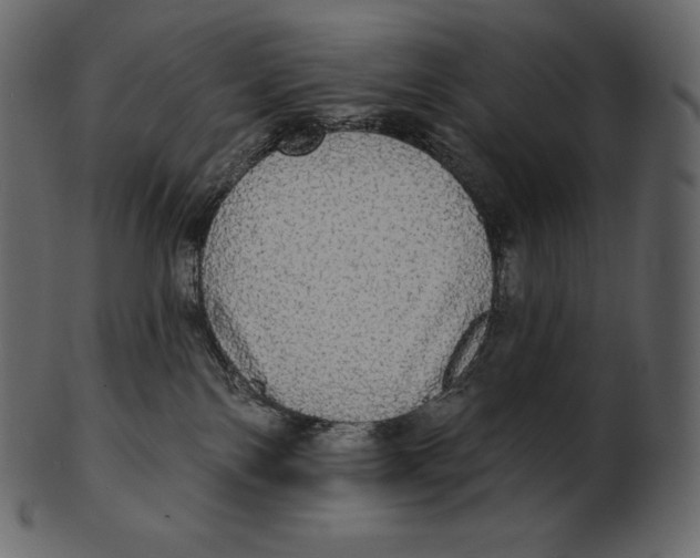 X0000100500138200807031949