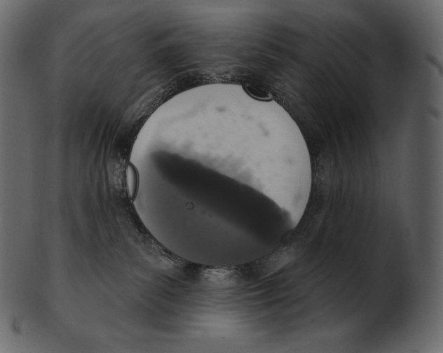 X0000100500139200807031949