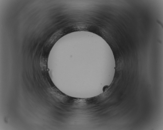 X0000100500140200807031949